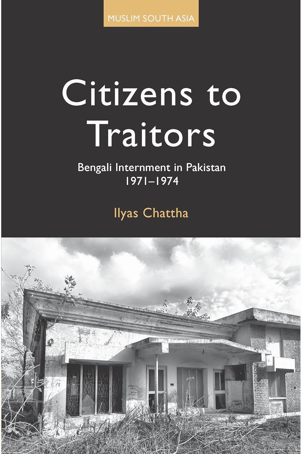 Citizens to Traitors by Ilyas Chattha