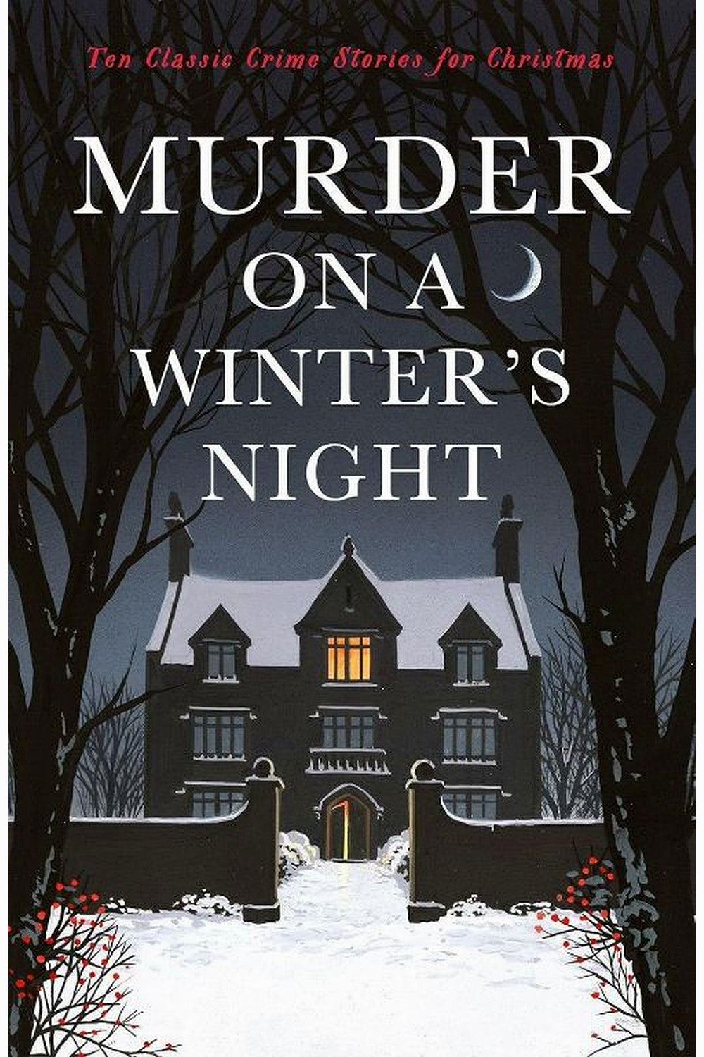 Murder on a Winter's Night by Cecily Gayford