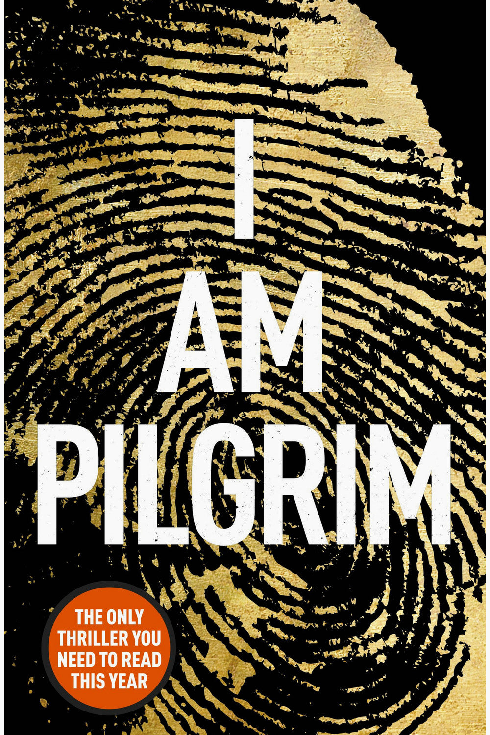 I Am Pilgrim by Terry Hayes