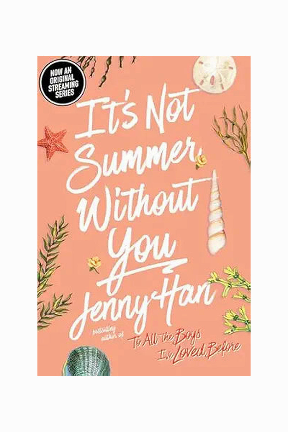 It's Not Summer Without You by Jenny Han