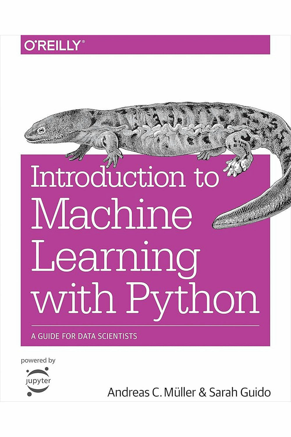 Introduction to Machine Learning with Python by Andreas C. Muller and Sarah Guido