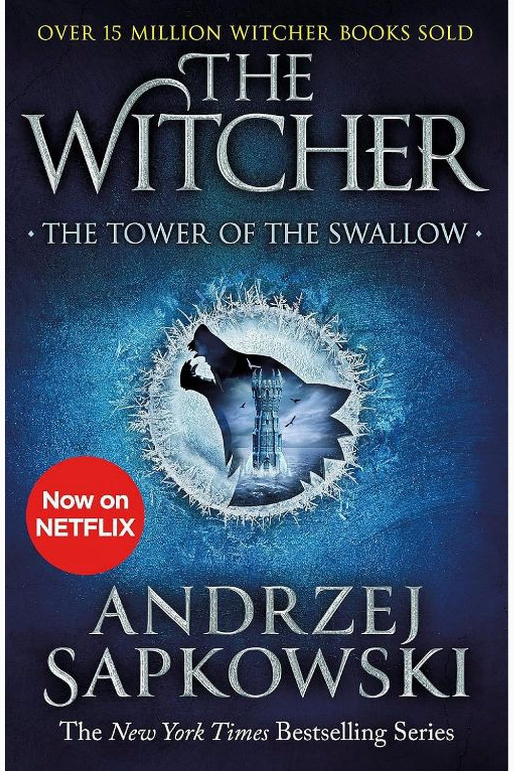The Tower of the Swallow by Andrzej Sapkowski