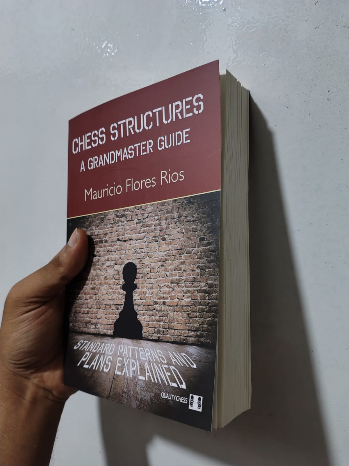 Chess Structures: A Grandmaster Guide by Mauricio Flores Rios