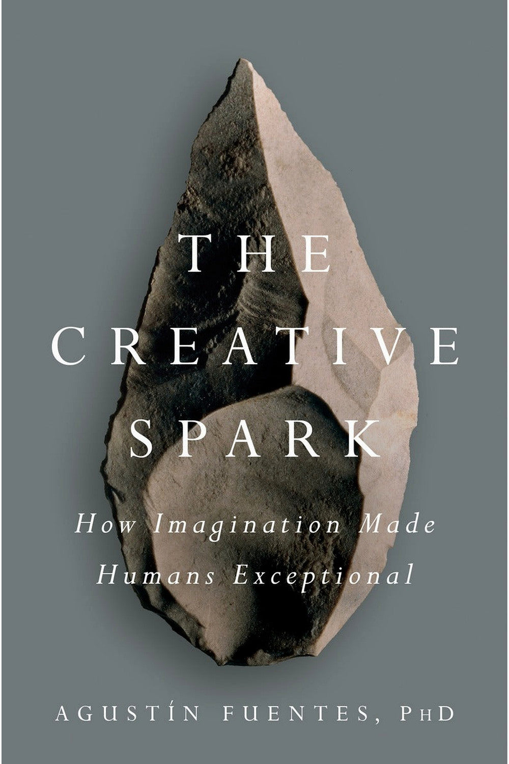 The Creative Spark by Agustin Fuentes