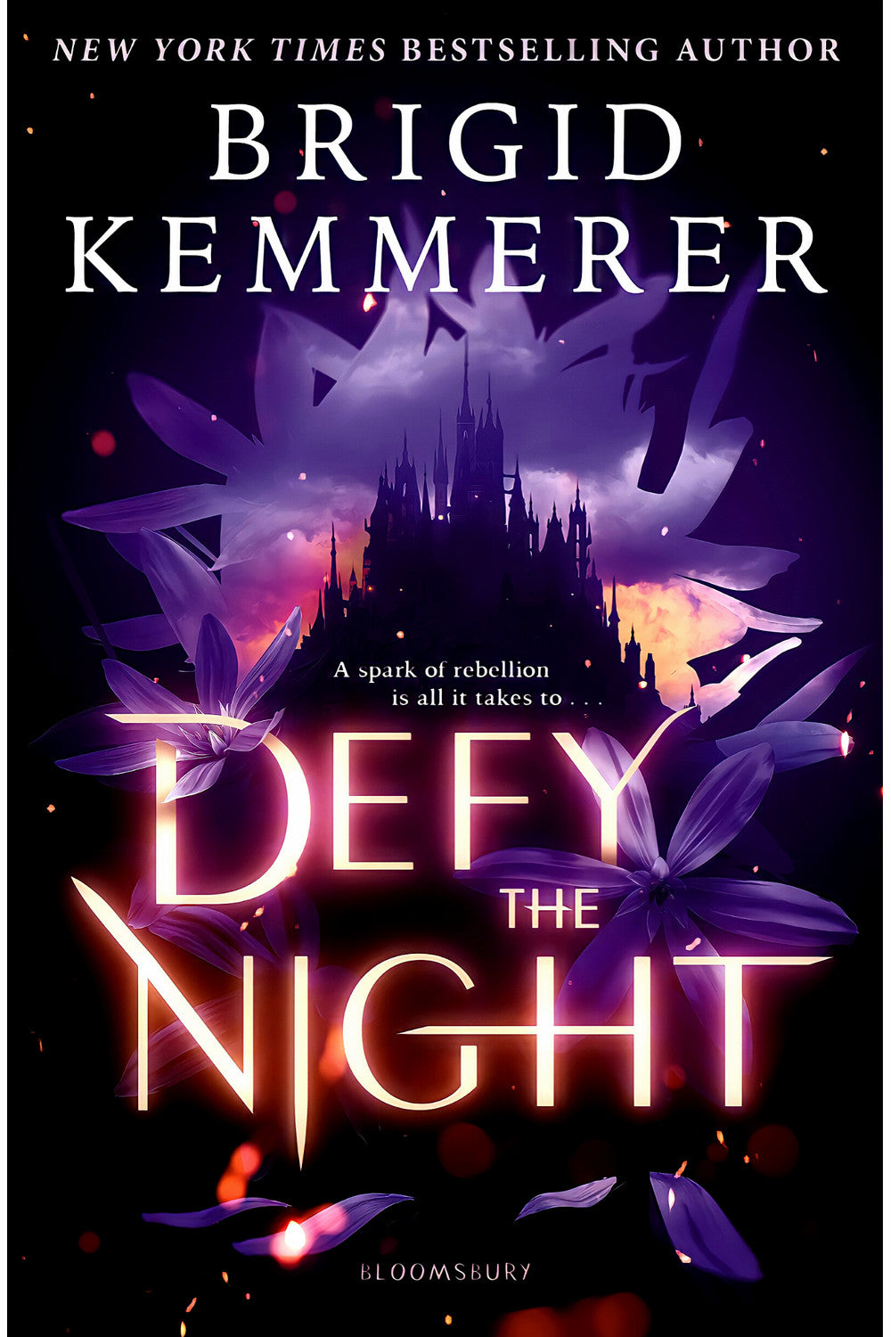 Defy the Night by Brigid Kemmerer
