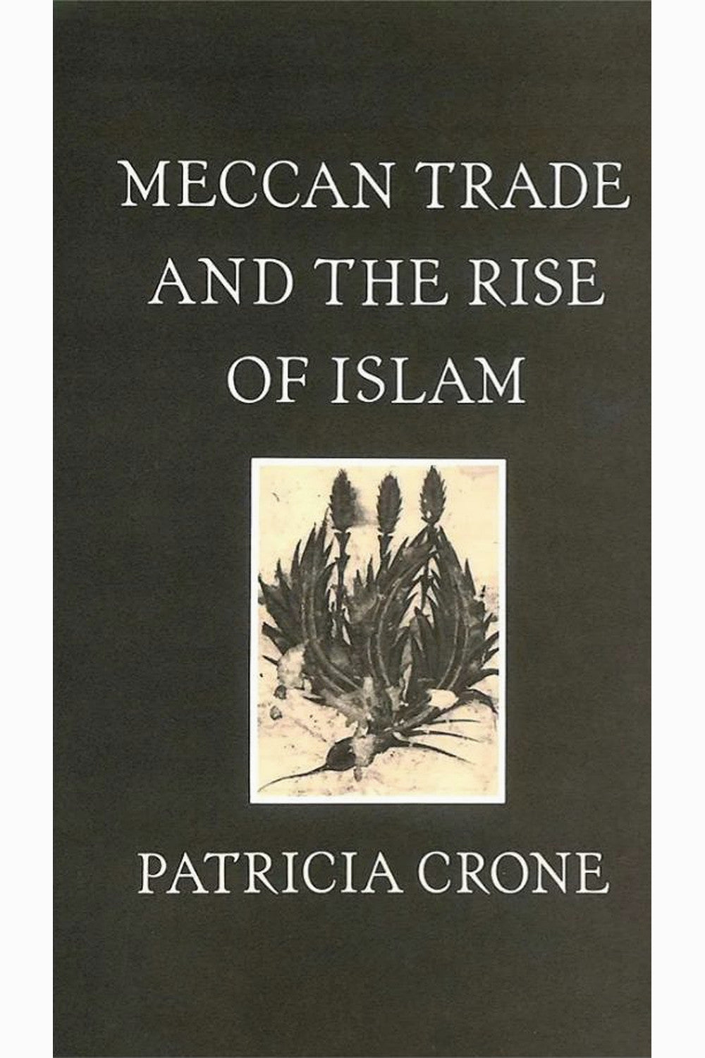 Meccan Trade and the Rise of Islam by Patricia Crone