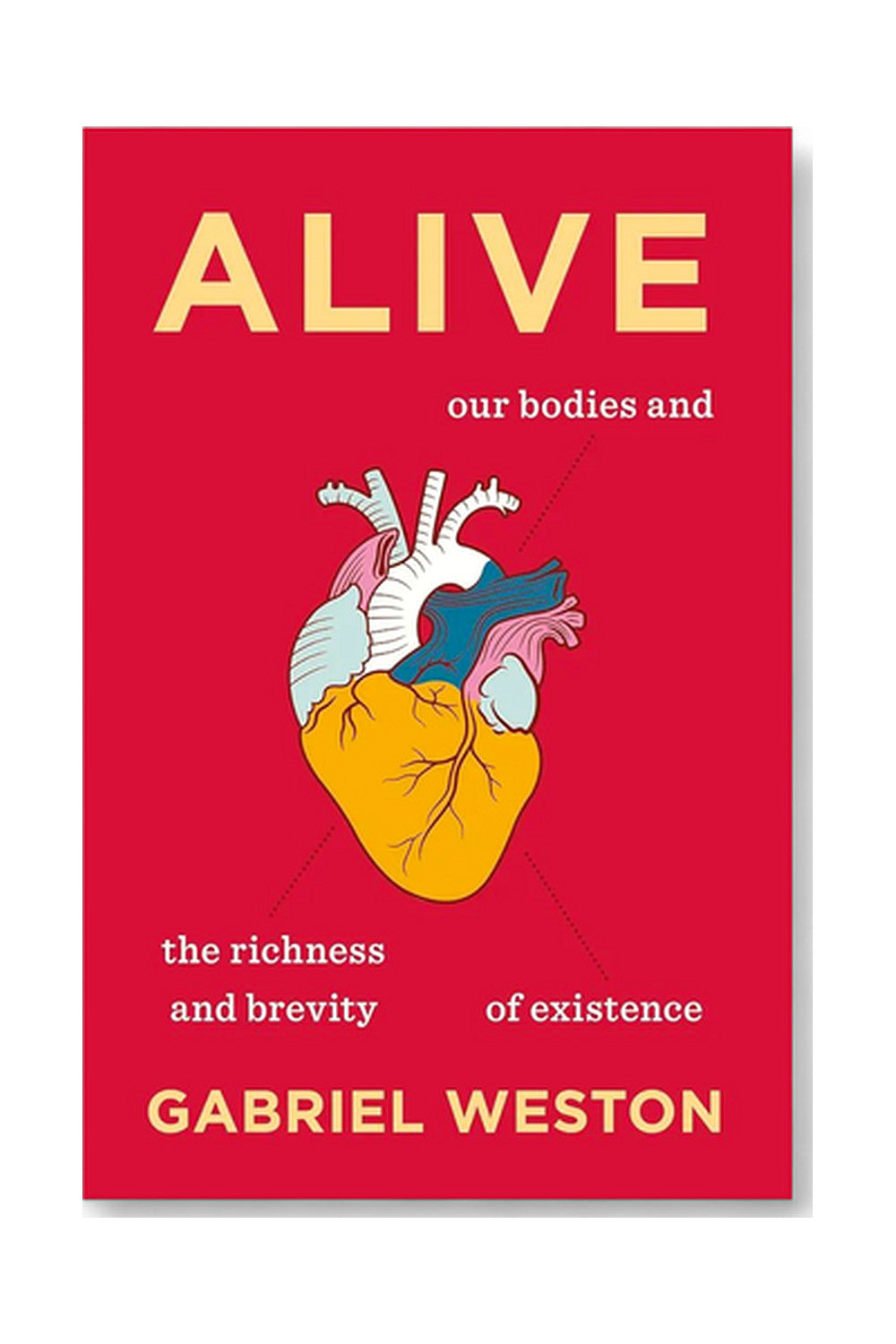 Alive: Our Bodies and the Richness and Brevity of Existence by Gabriel Weston