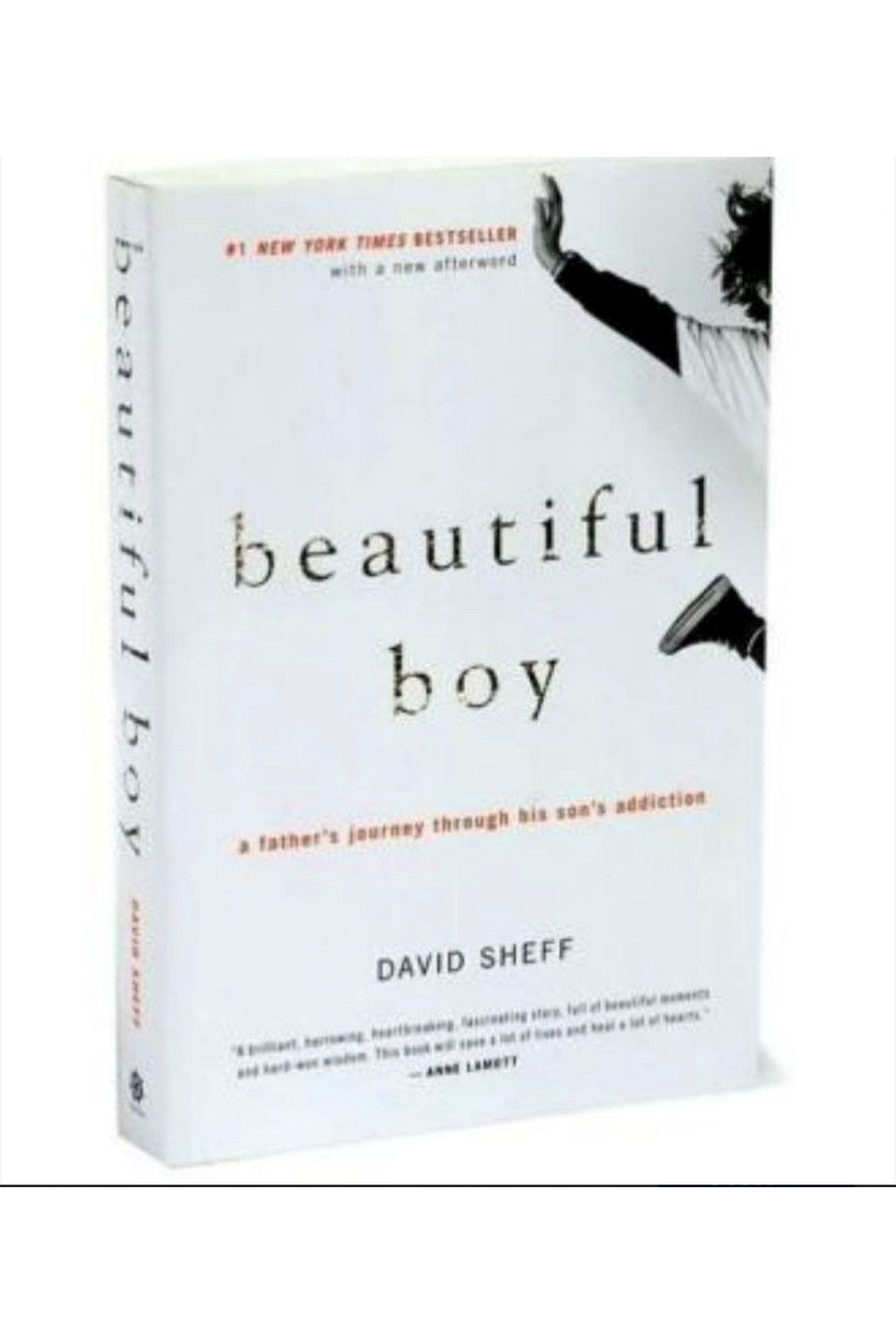 Beautiful Boy by David Sheff