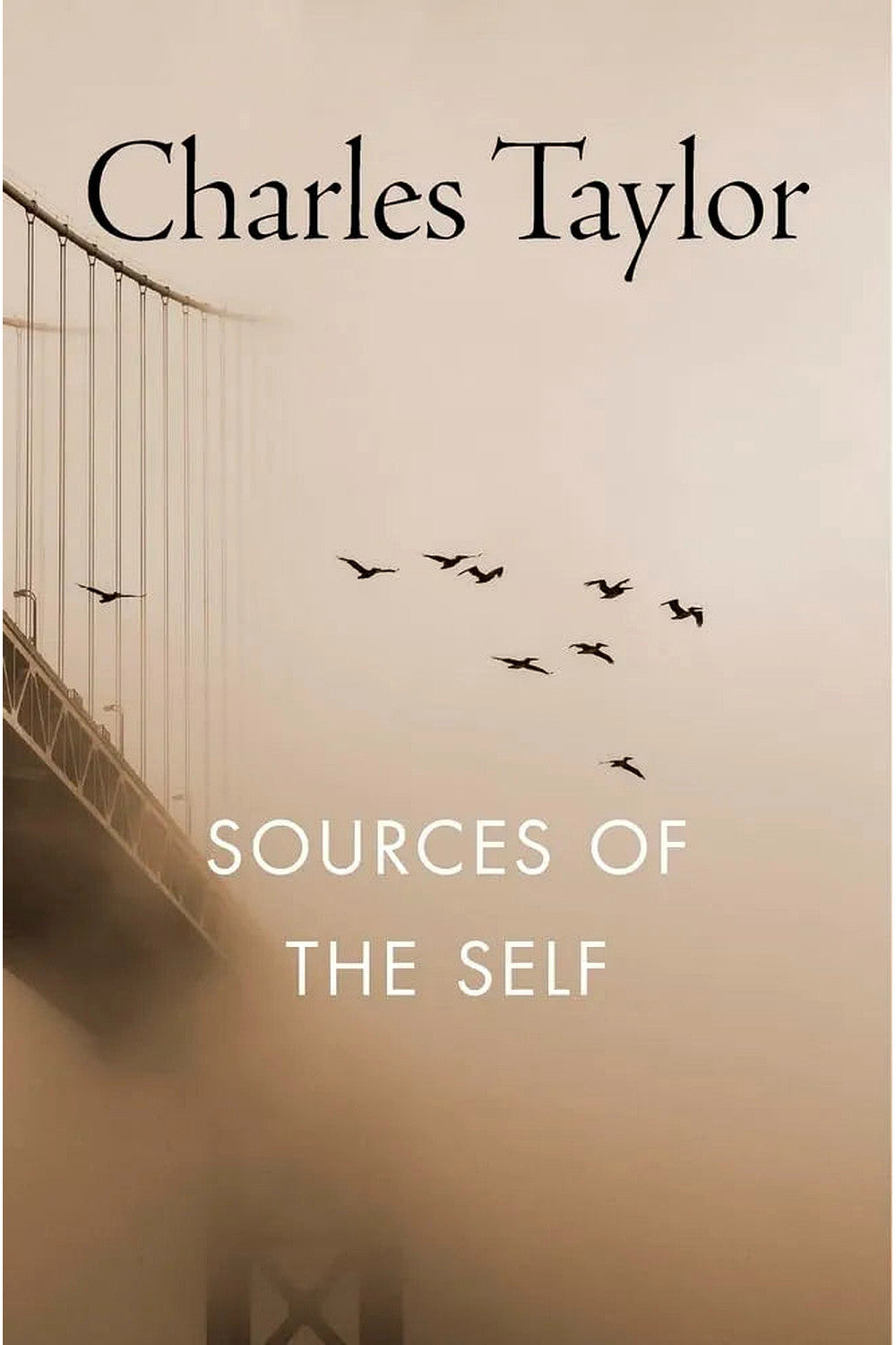 Sources of the Self by Charles Taylor