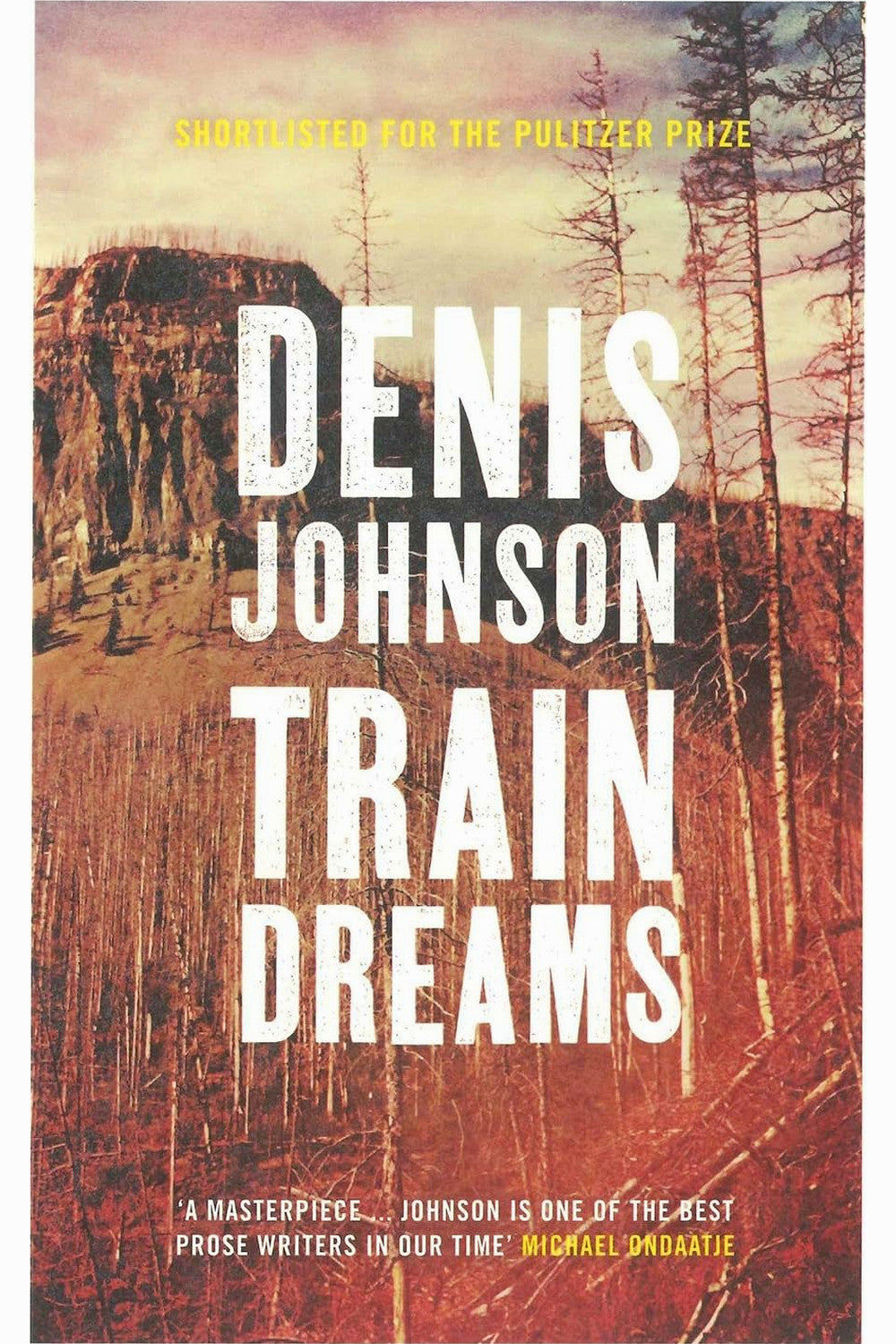 Train Dreams by Denis Johnson