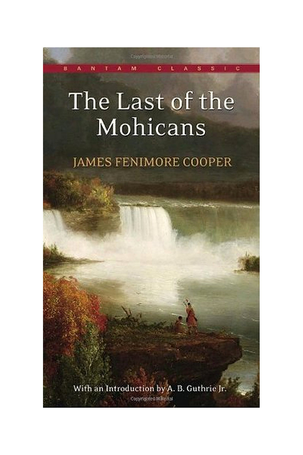 The Last of the Mohicans by James Fenimore Cooper