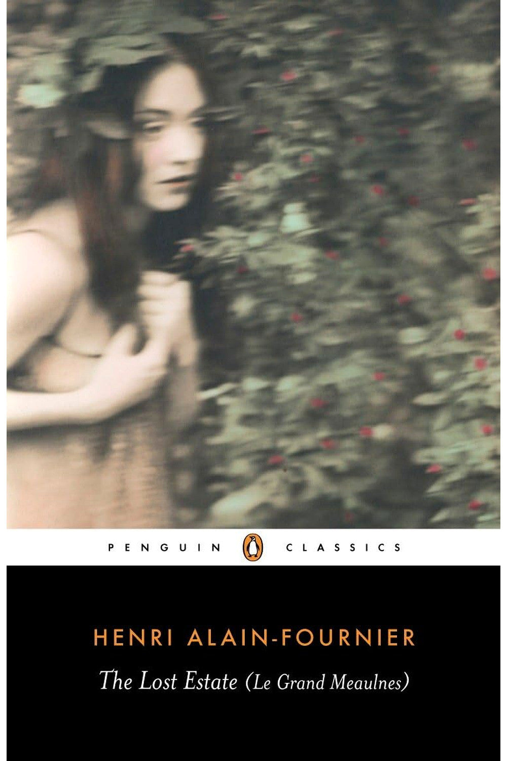 The Lost Estate by Alain-Fournier