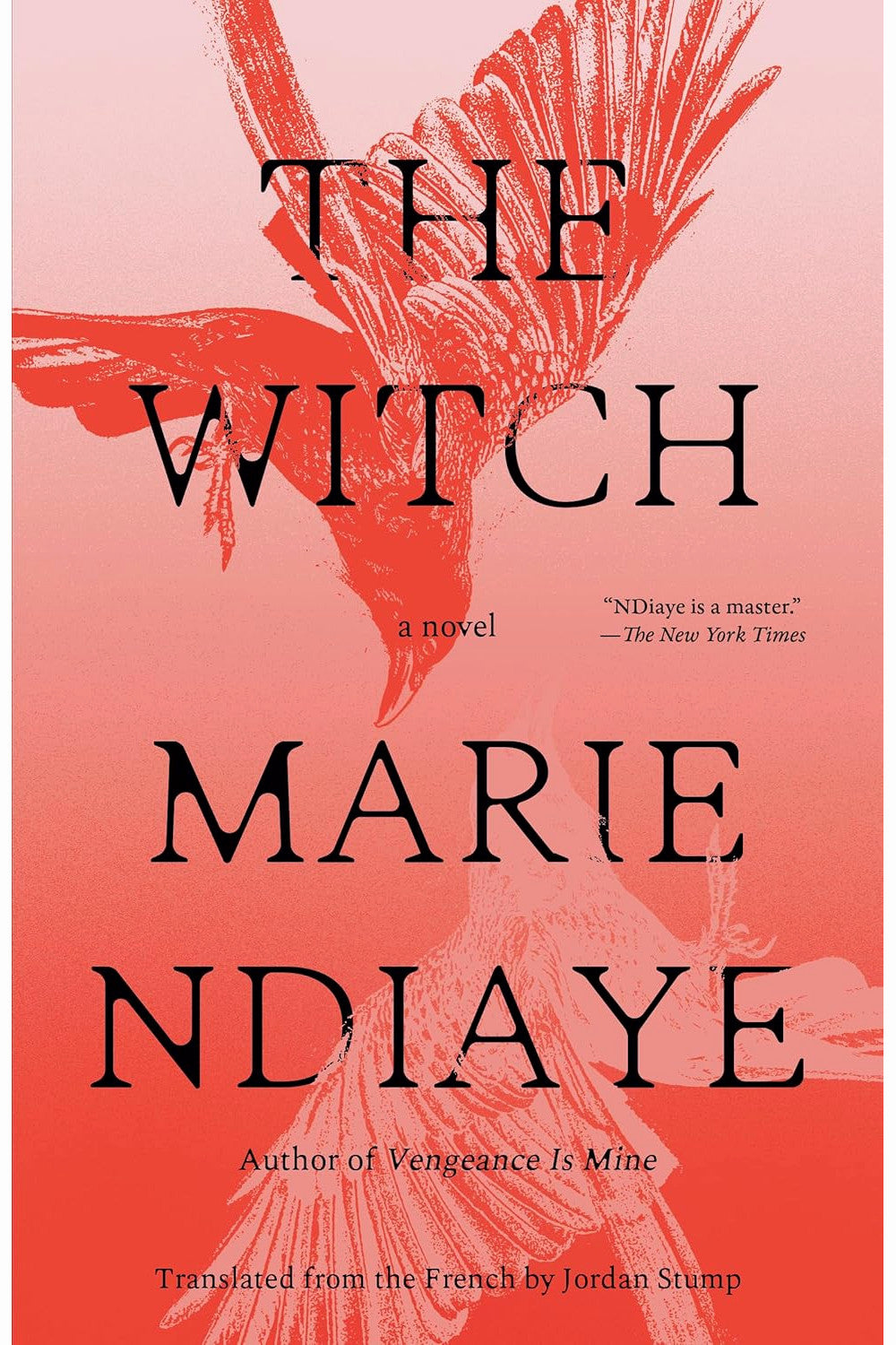 The Witch by Marie NDiaye