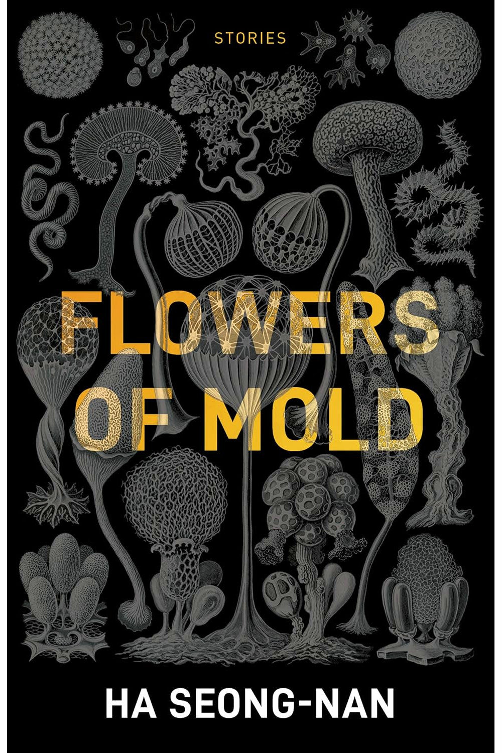 Flowers of Mold by Ha Seong-nan