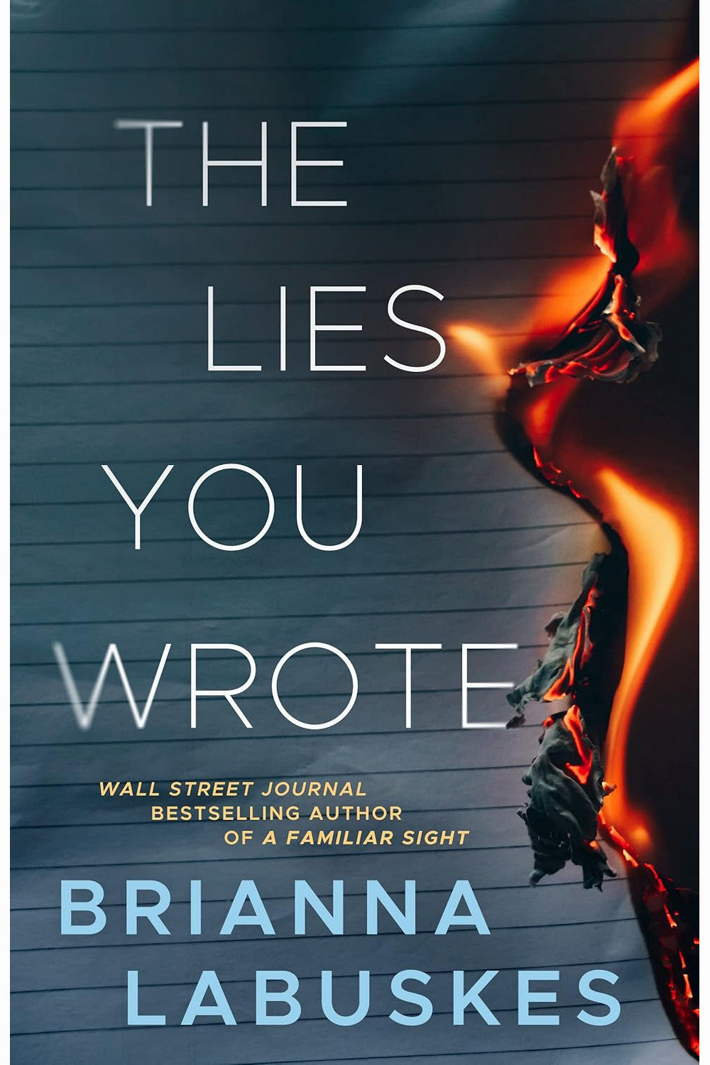 The Lies You Wrote by Brianna Labuskes