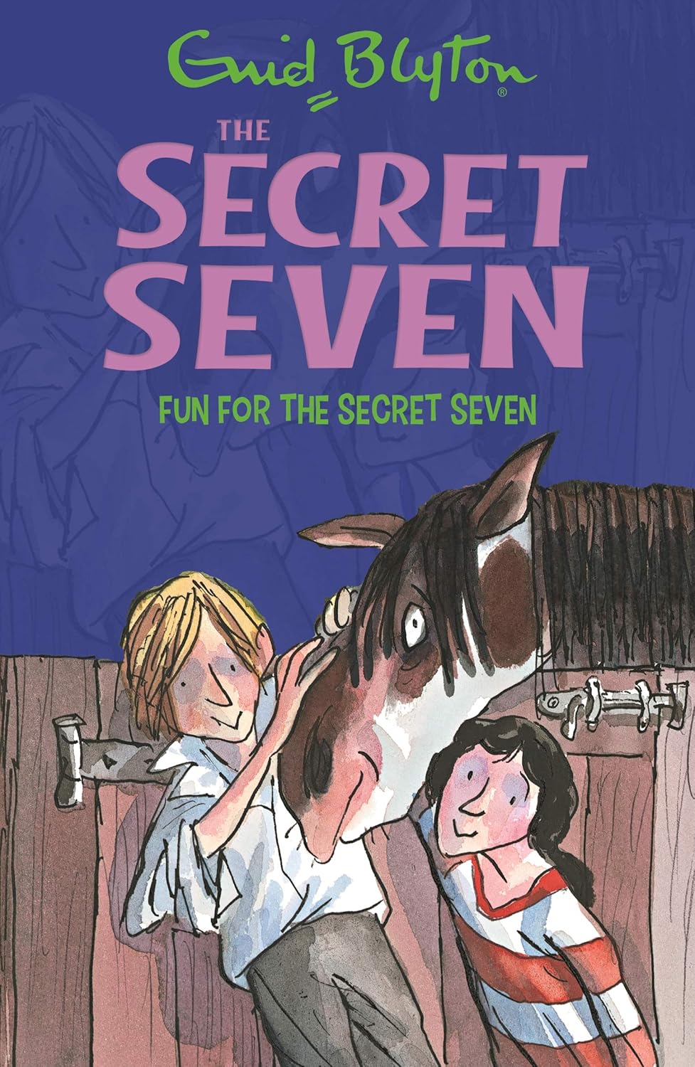 The Secret Seven: Fun for the Secret Seven by Enid Blyton