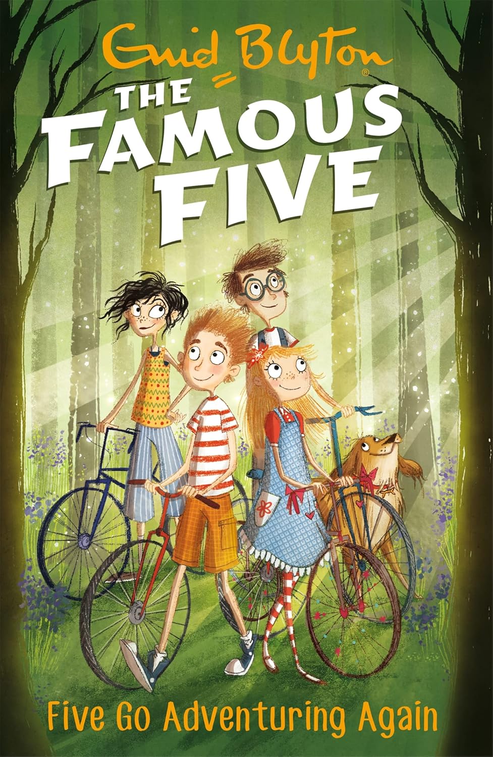 The Famous Five: Five Go Adventuring Again by Enid Blyton