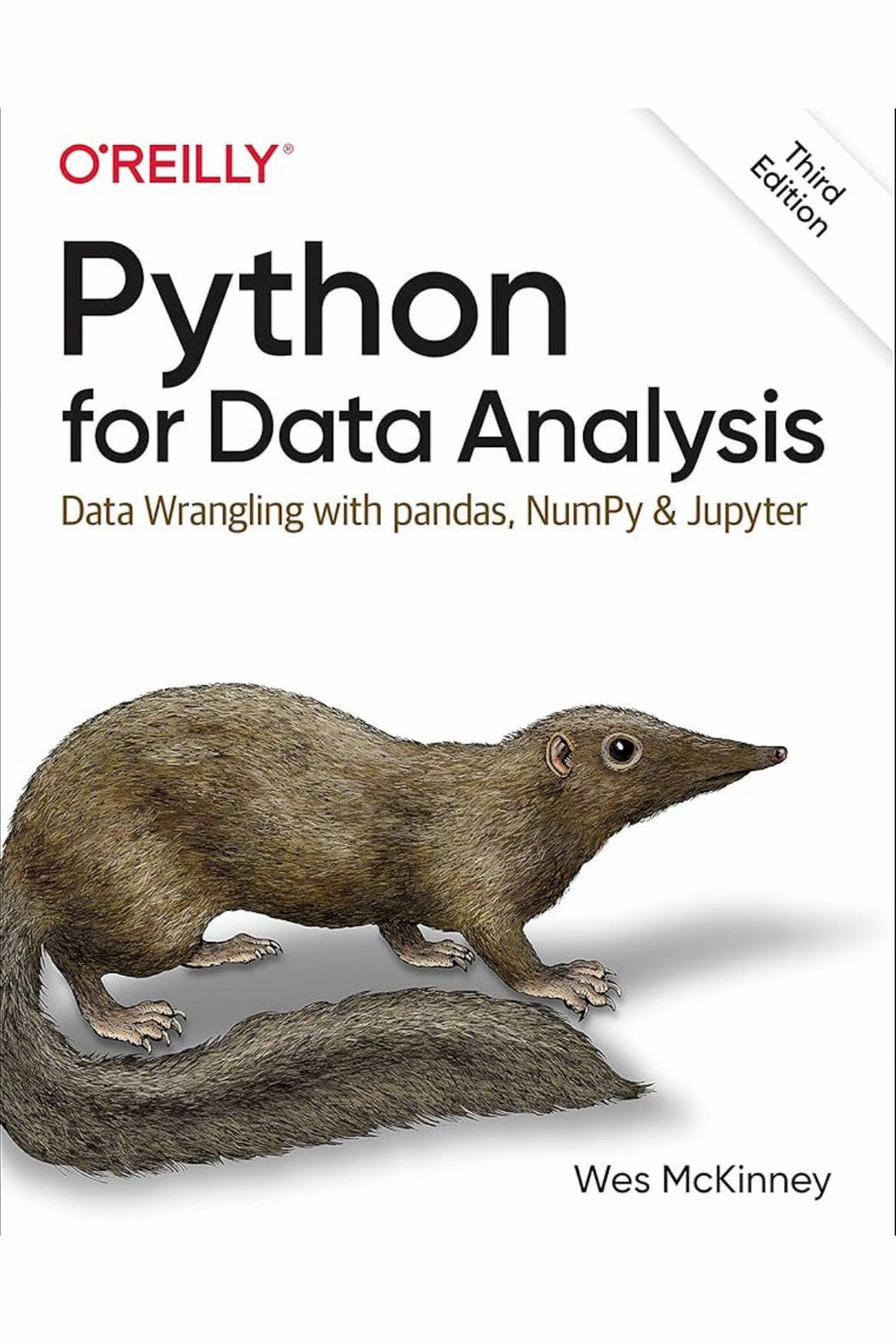 Python for Data Analysis by Wes McKinney