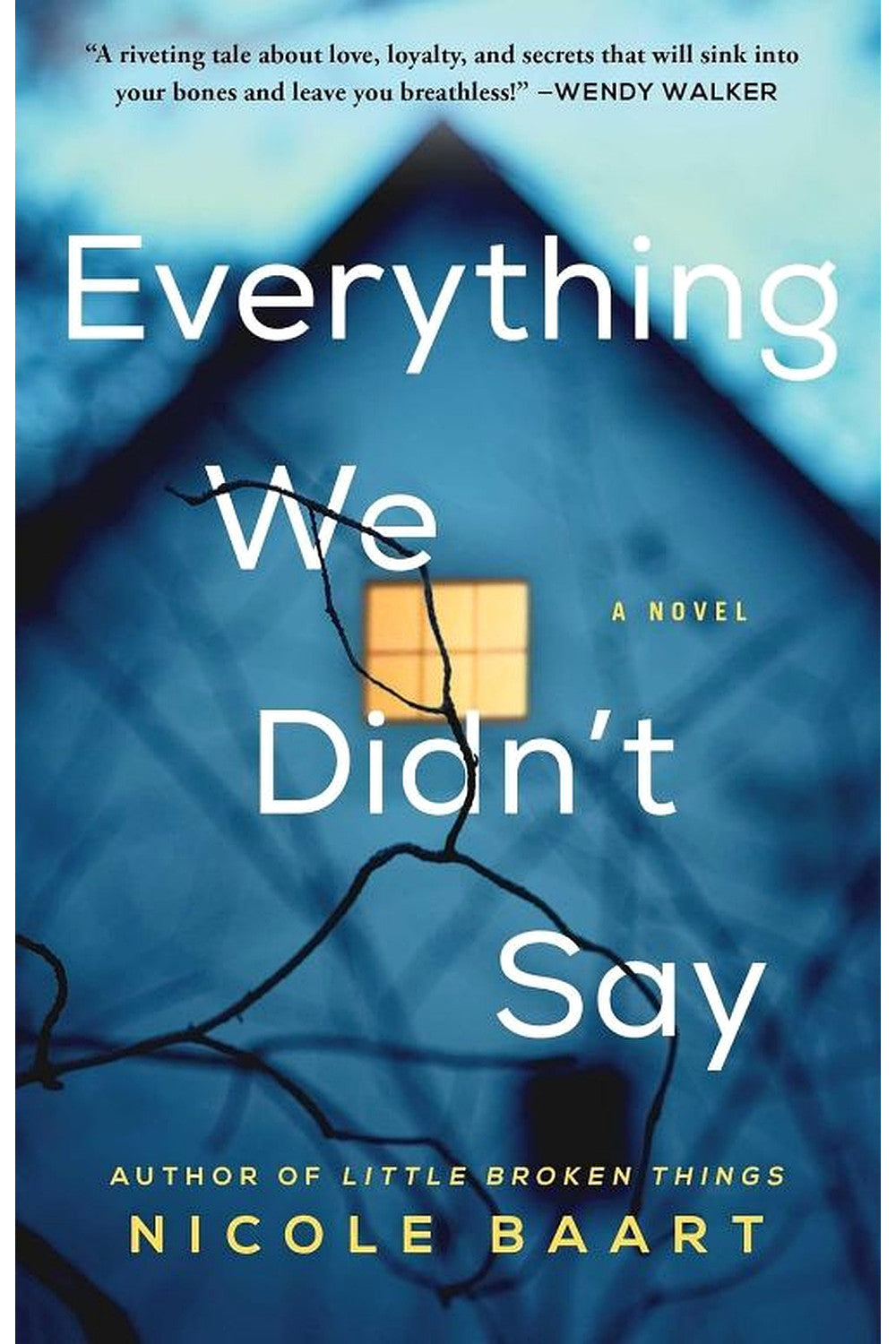 Everything We Didn't Say by Nicole Baart