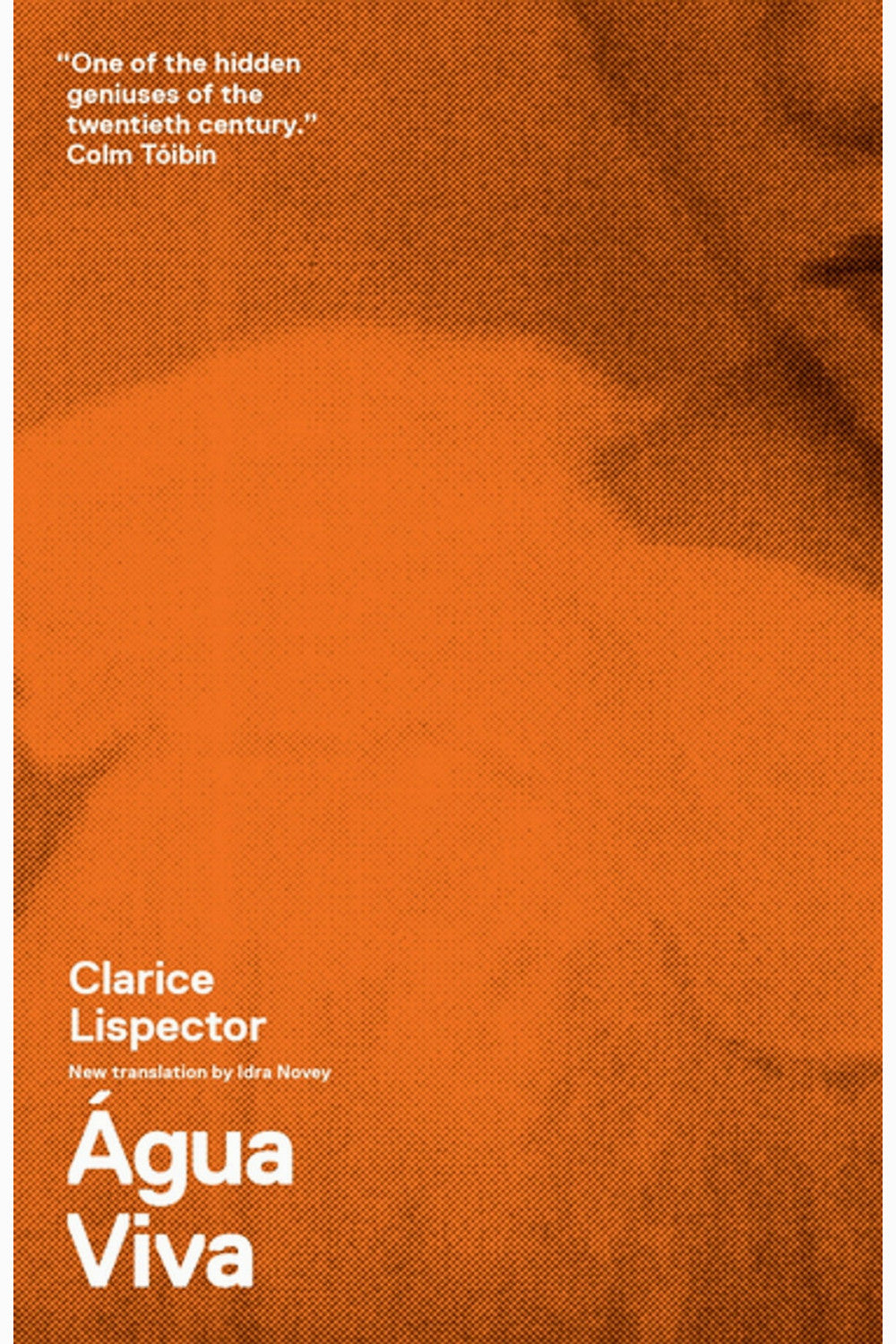 Agua Viva (The Stream of Life) by Clarice Lispector