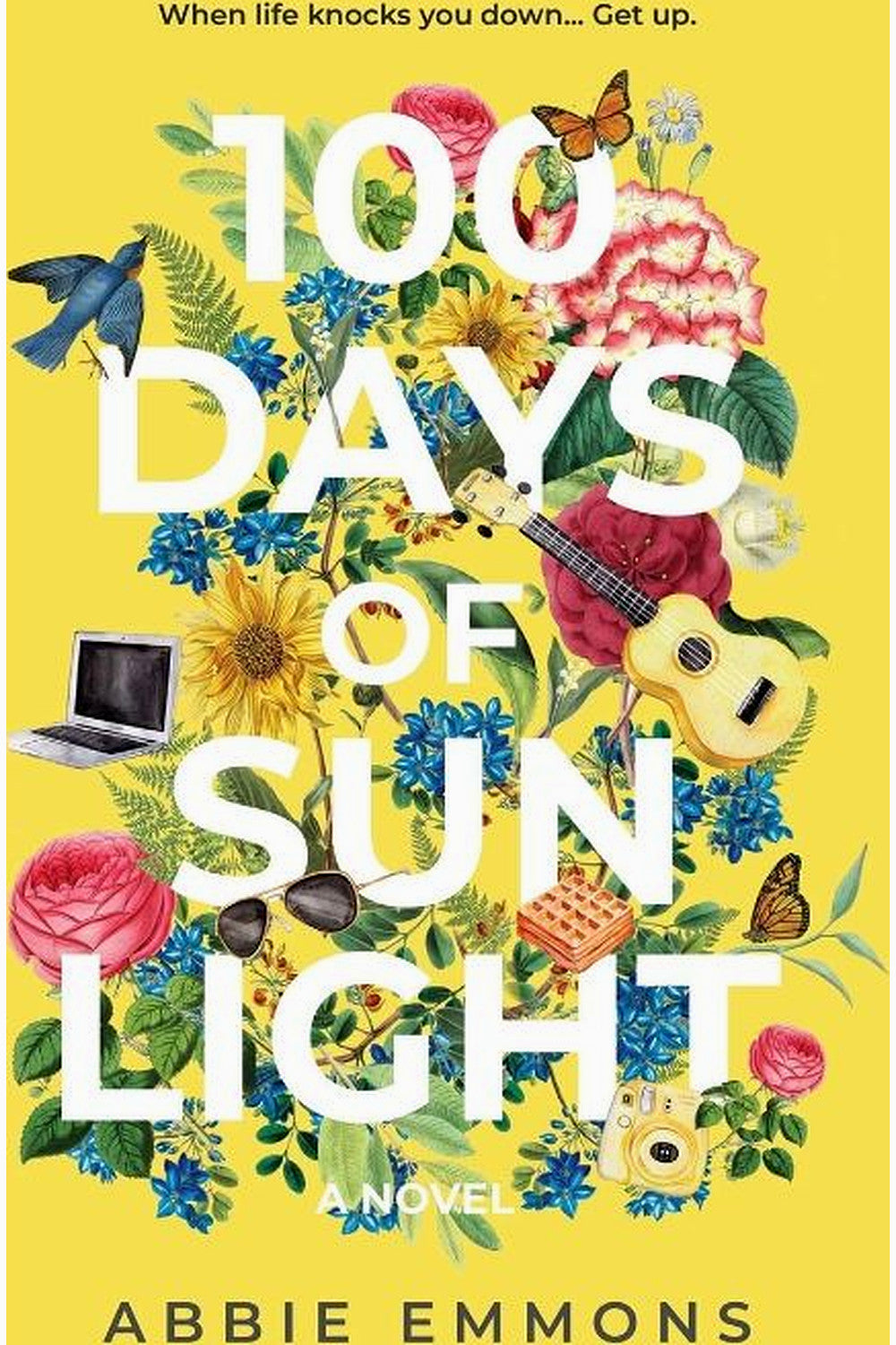 100 Days of Sunlight by Abbie Emmons