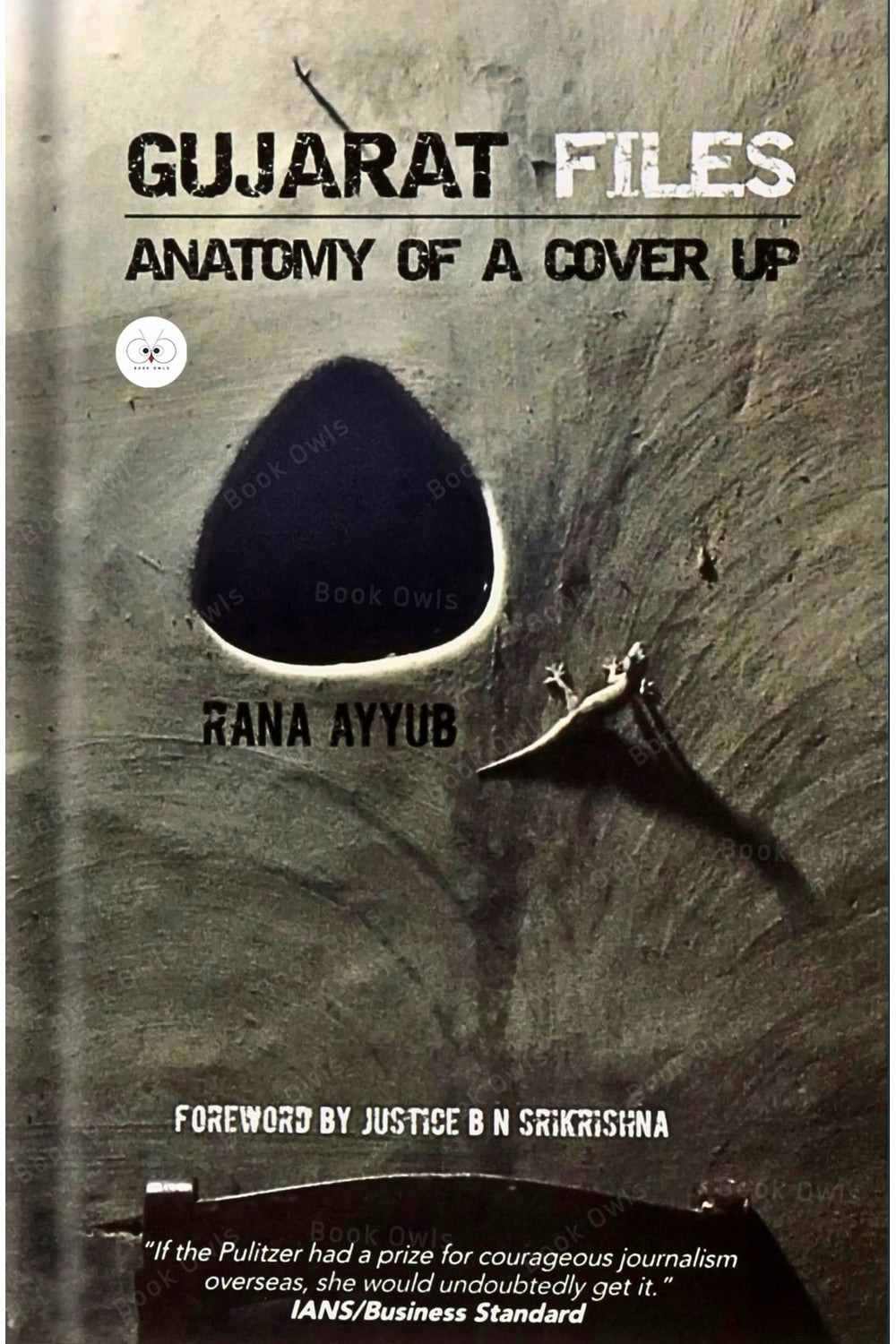 Gujarat Files: Anatomy of a Cover Up by Rana Ayyub