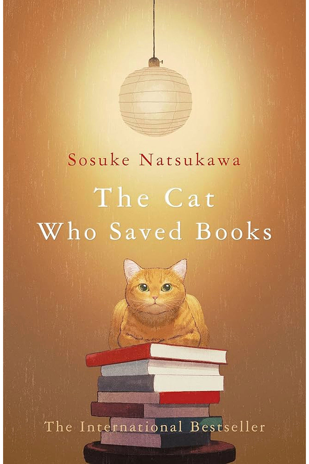 The Cat Who Saved Books by Sōsuke Natsukawa