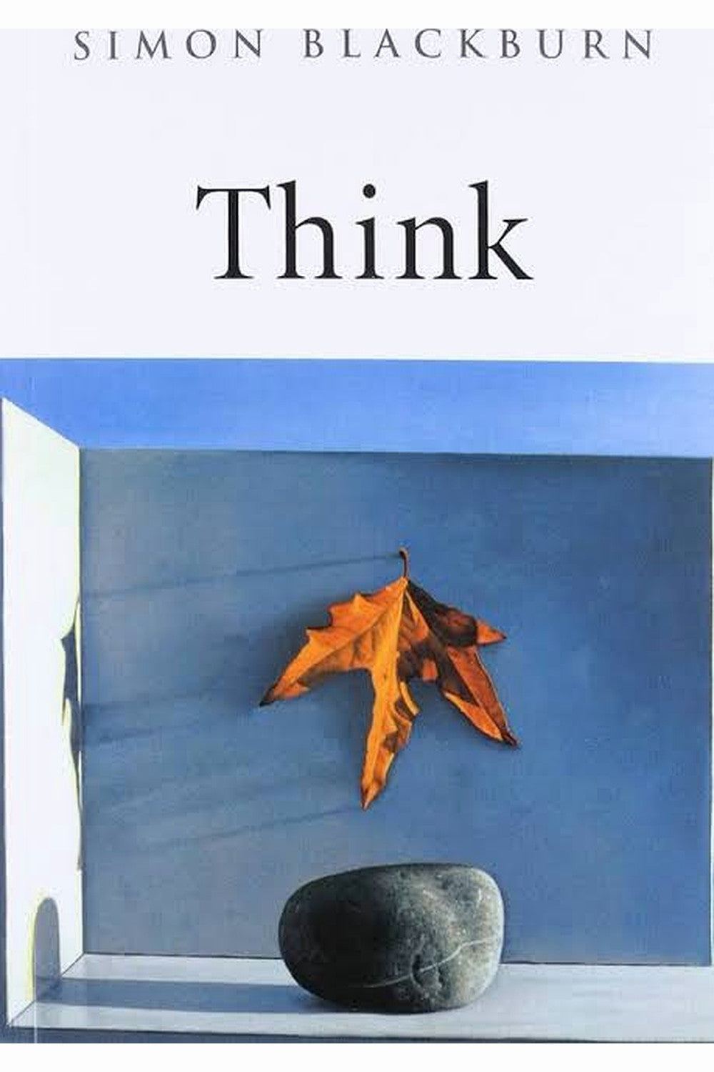 Think: A Compelling Introduction to Philosophy by Simon Blackburn