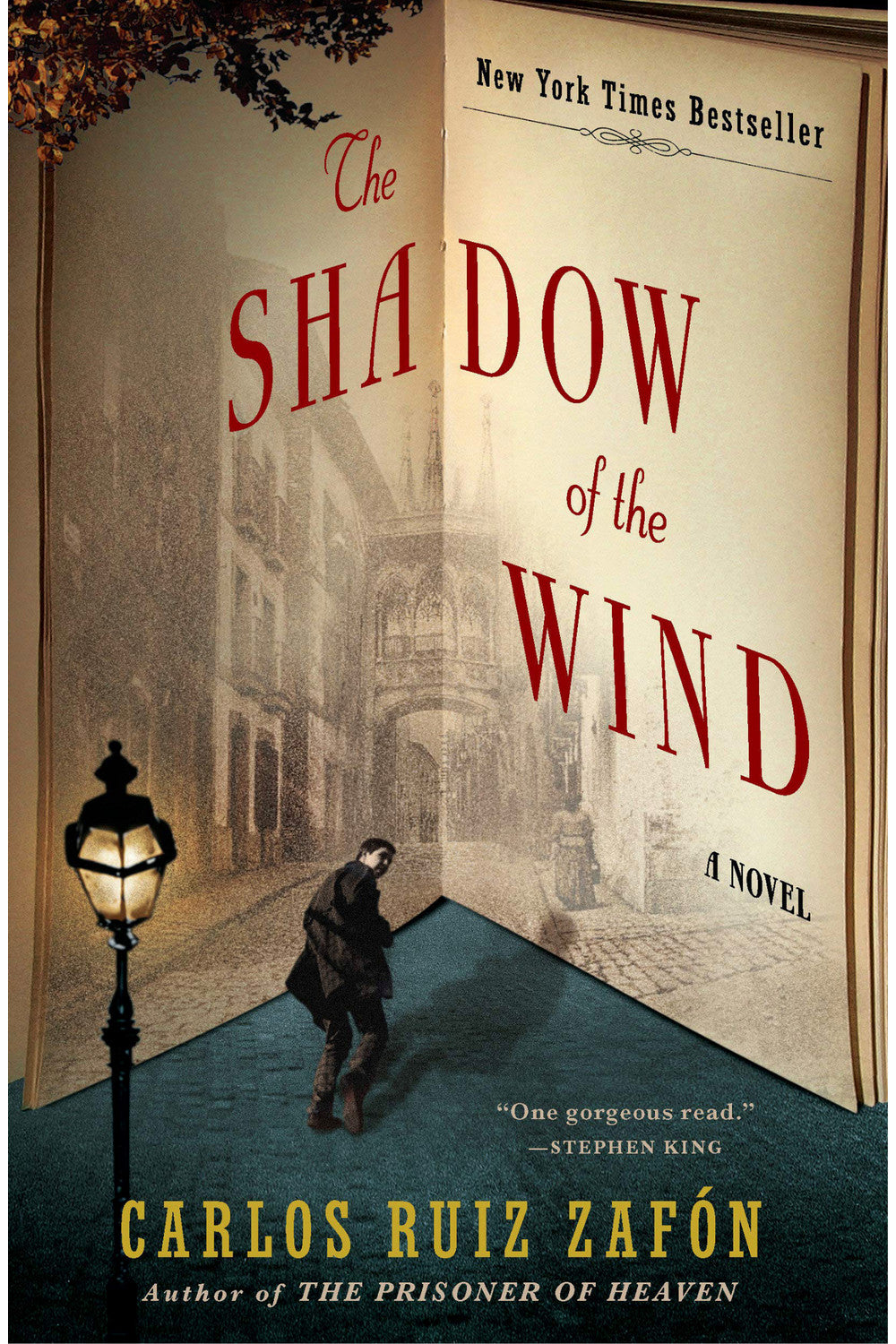 The Shadow of the Wind by Carlos Ruiz Zafón