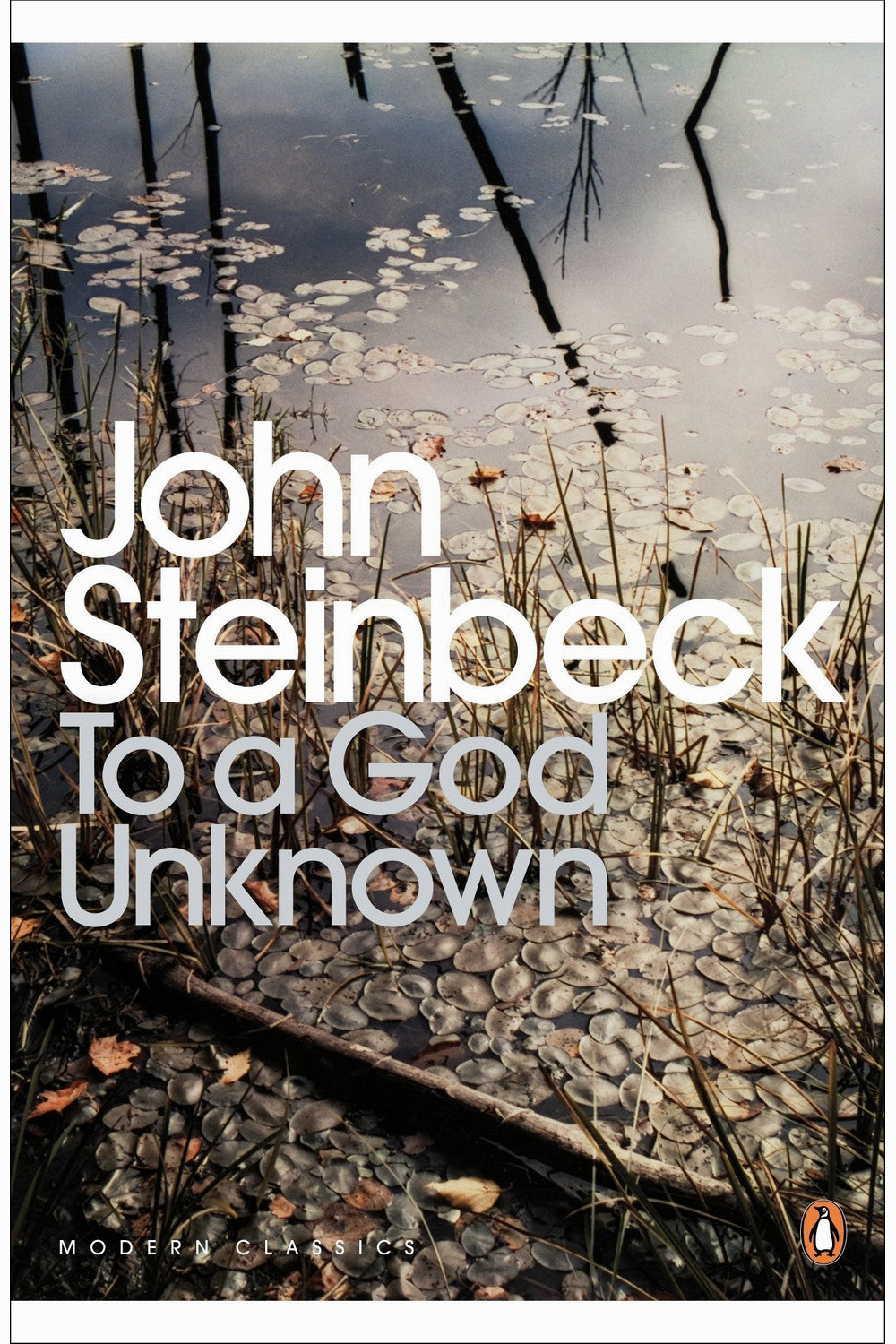 To a God Unknown by John Steinbeck