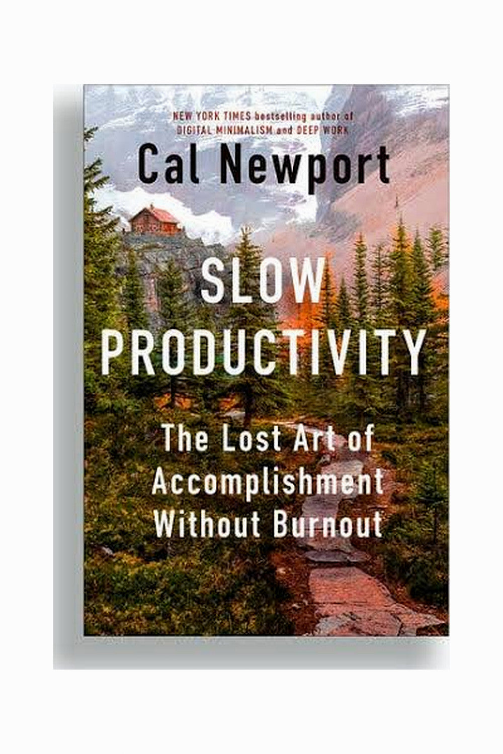 Slow Productivity by Cal Newport
