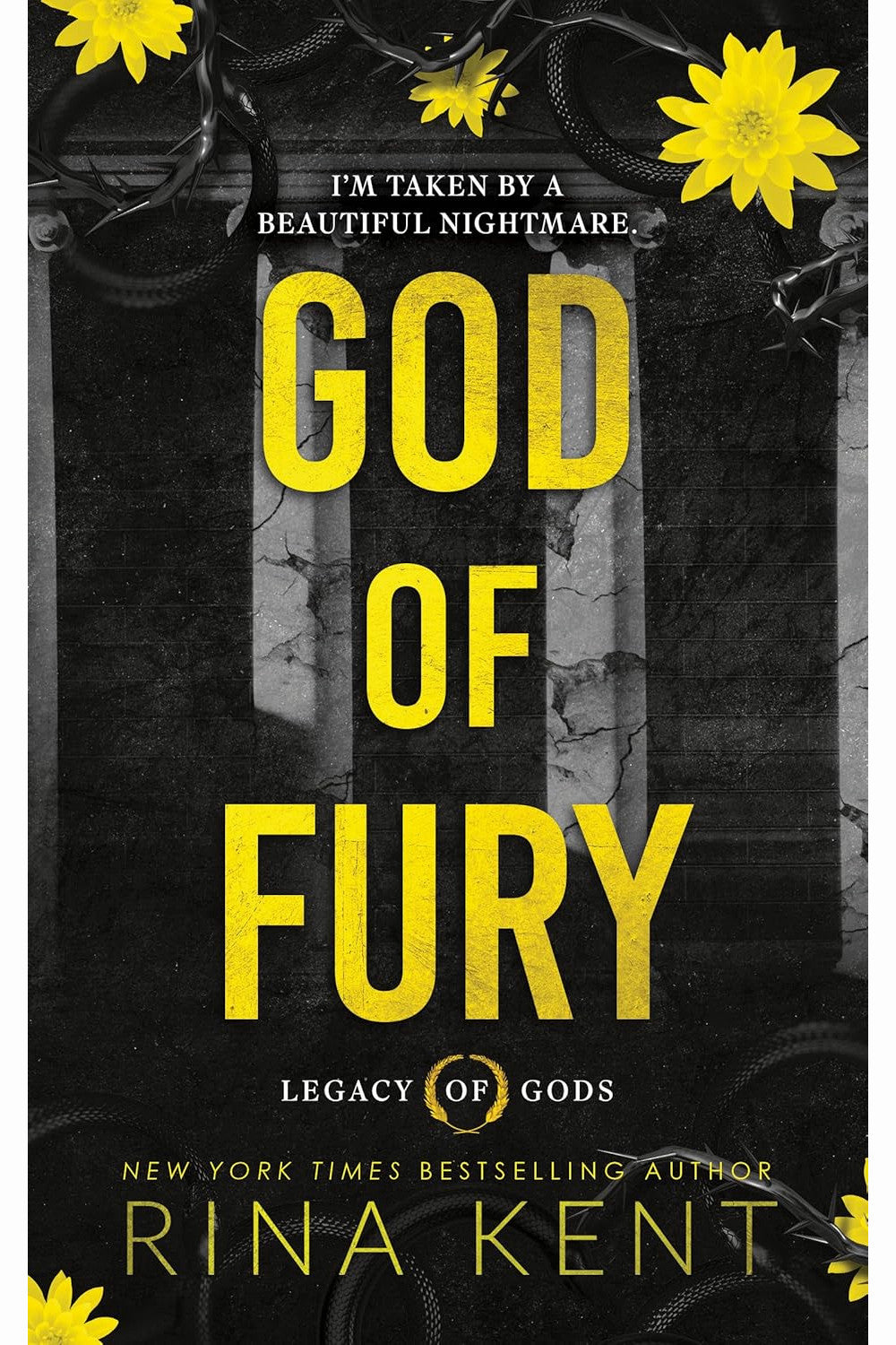 God of Fury by Rina Kent