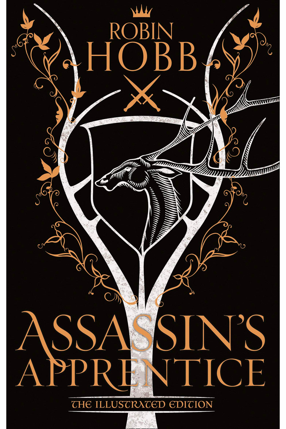 Assassin's Apprentice by Robin Hobb