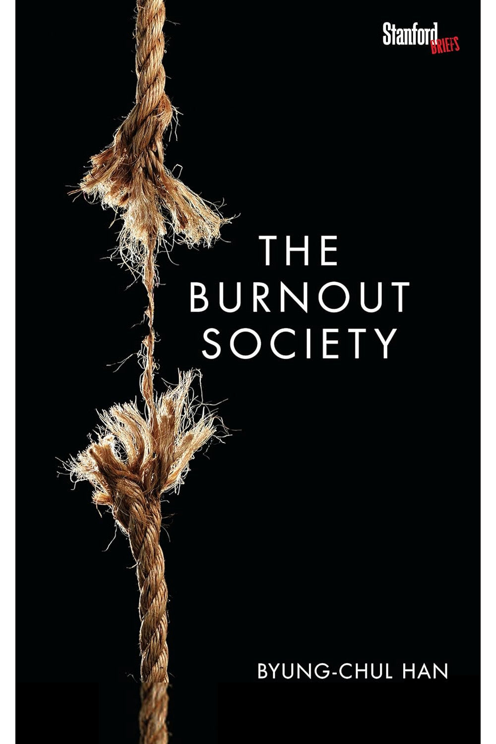 The Burnout Society by Byung-Chul Han