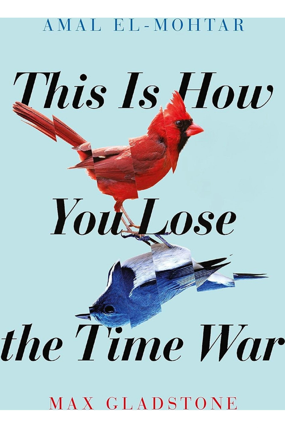 This Is How You Lose the Time War by Amal El-Mohtar and Max Gladstone