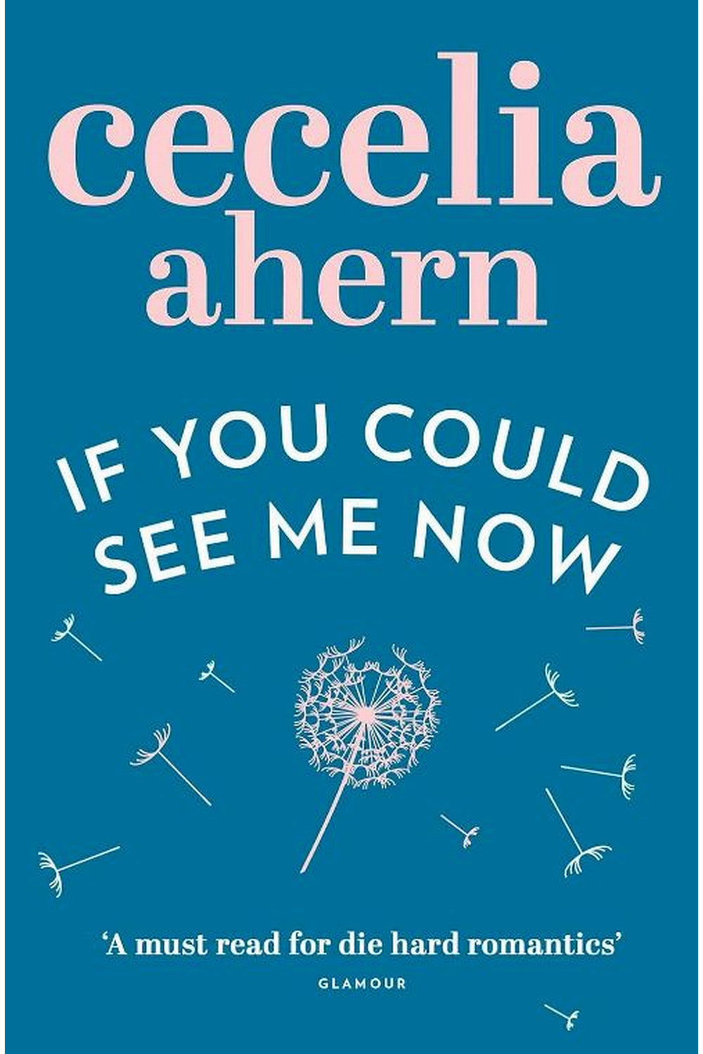 If You Could See Me Now by Cecelia Ahern