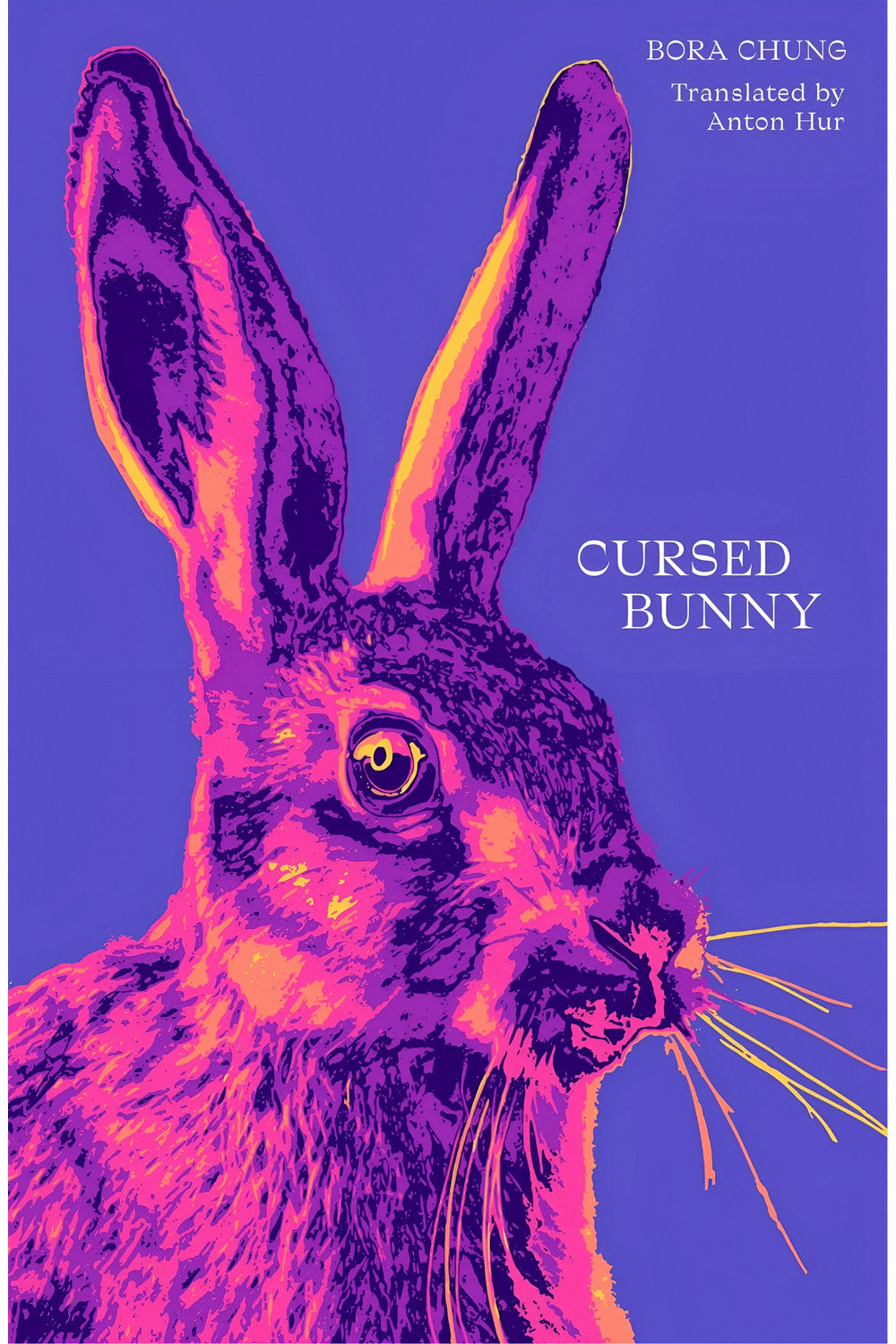 Cursed Bunny by Bora Chung