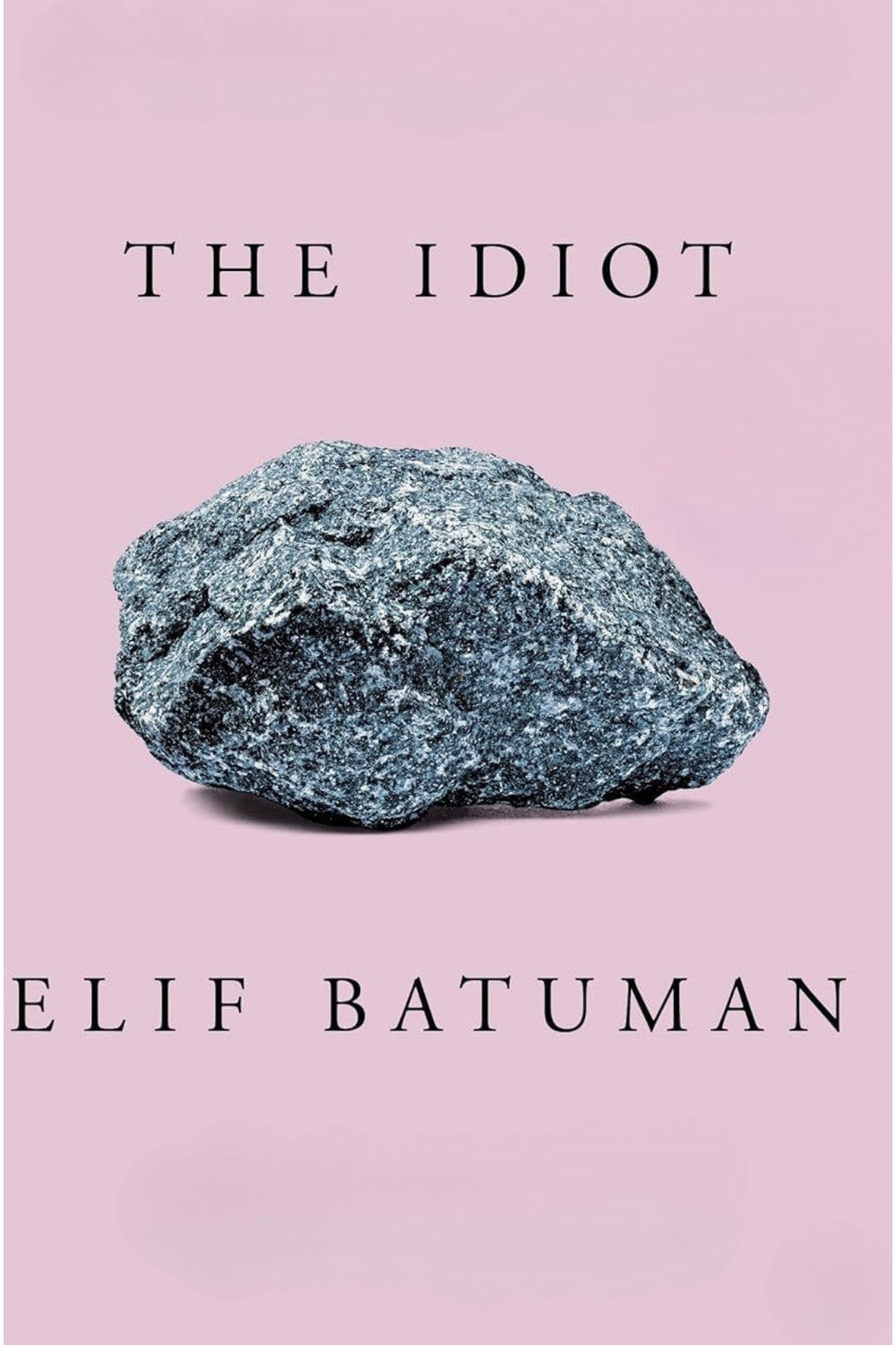 The Idiot by Elif Batuman