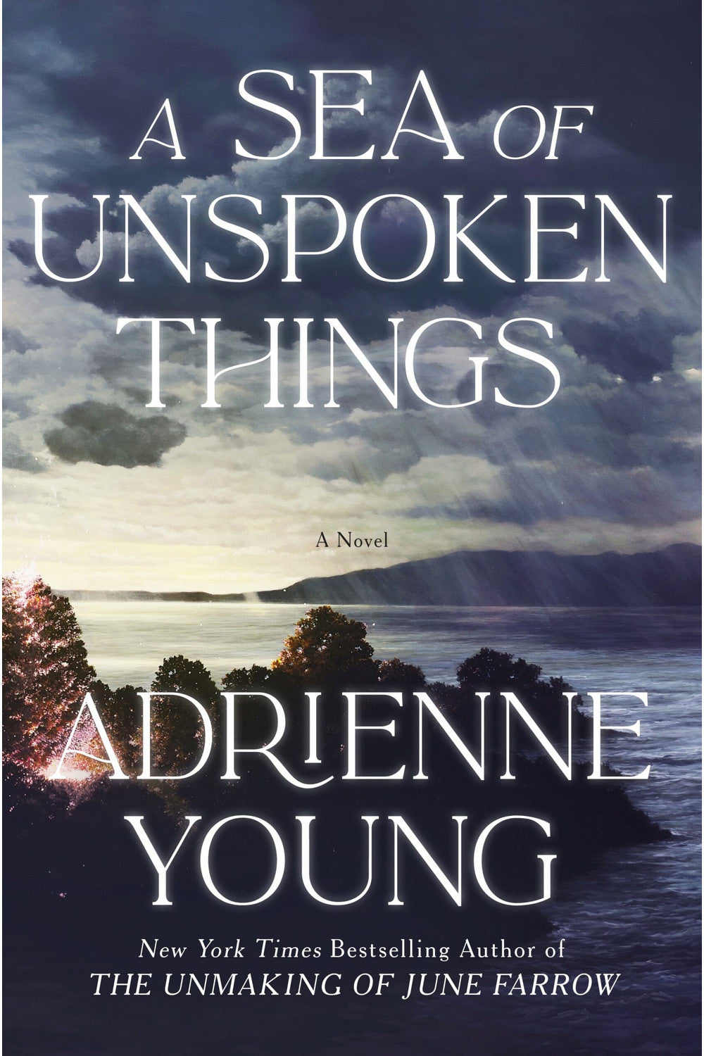 A Sea of Unspoken Things by Adrienne Young