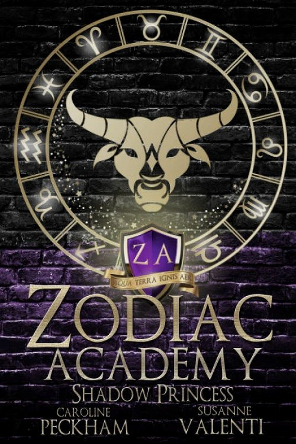 Zodiac Academy 4: Shadow Princess by Caroline Peckham