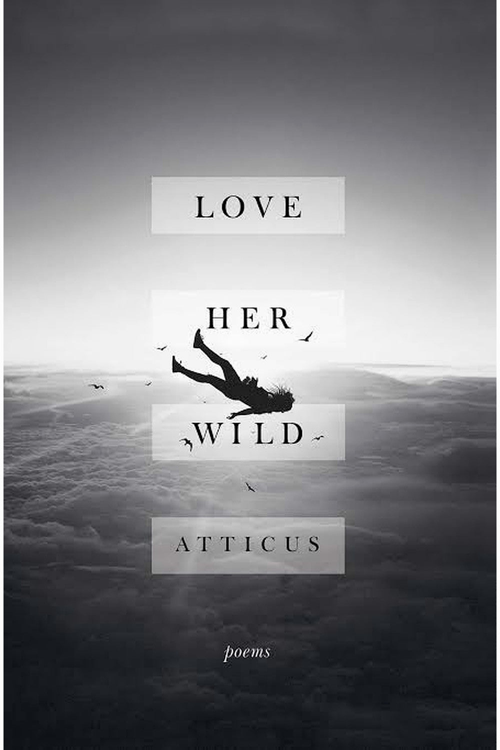 Love Her Wild by Atticus