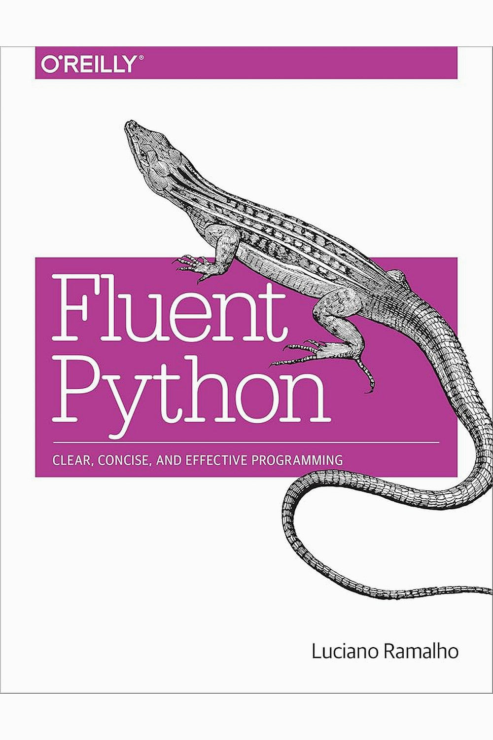 Fluent Python by Luciano Ramalho