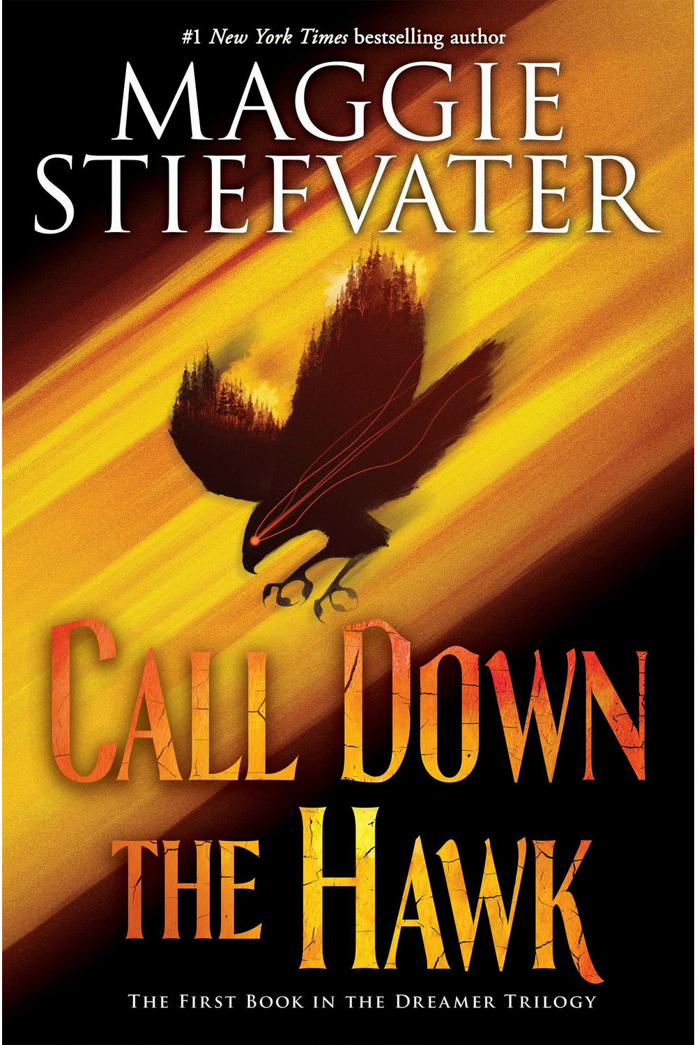 Call Down the Hawk by Maggie Stiefvater
