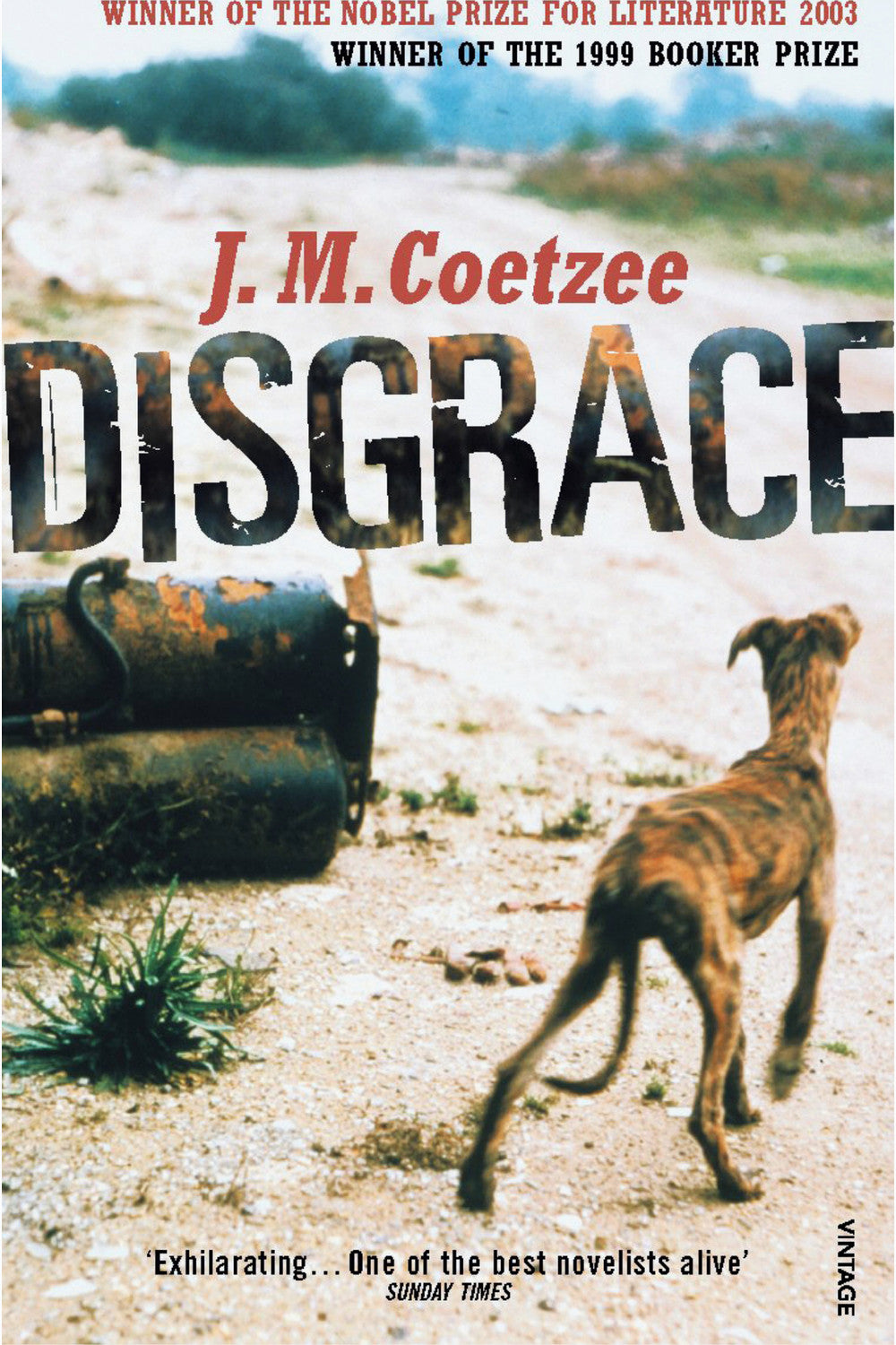 Disgrace by J. M. Coetzee