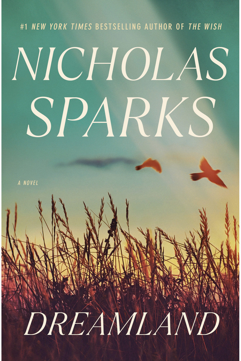 Dreamland by Nicholas Sparks