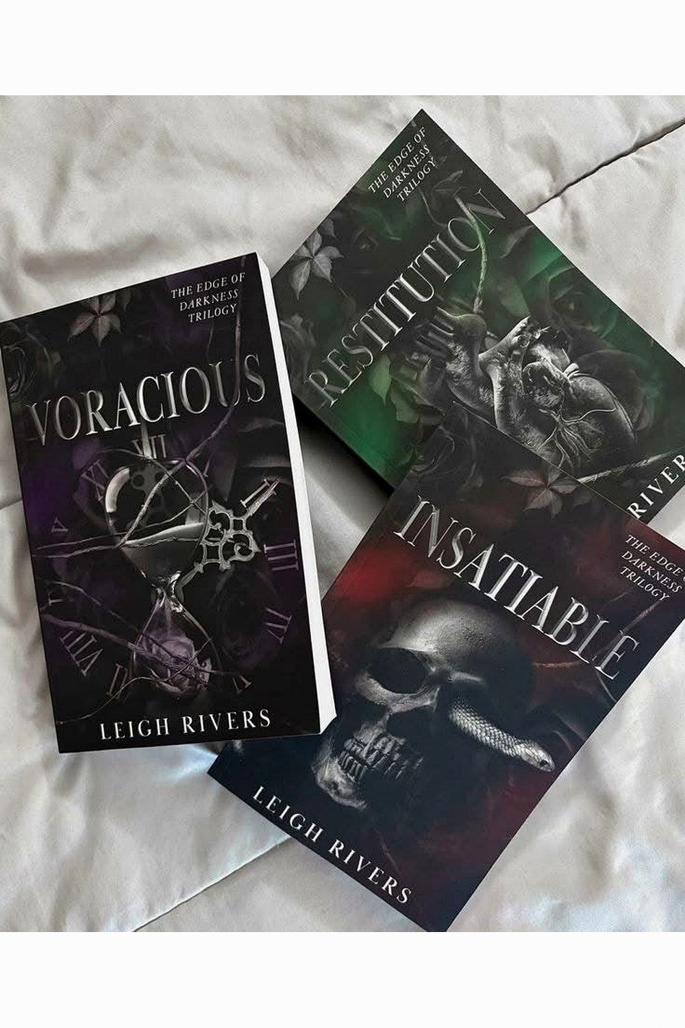 Edge of Darkness Series by Leigh Rivers