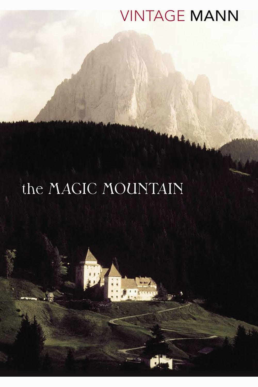 The Magic Mountain by Thomas Mann