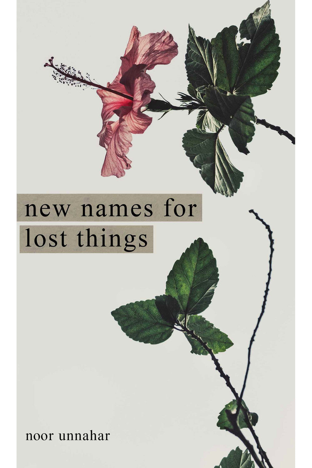 New Names for Lost Things by Noor Unnahar