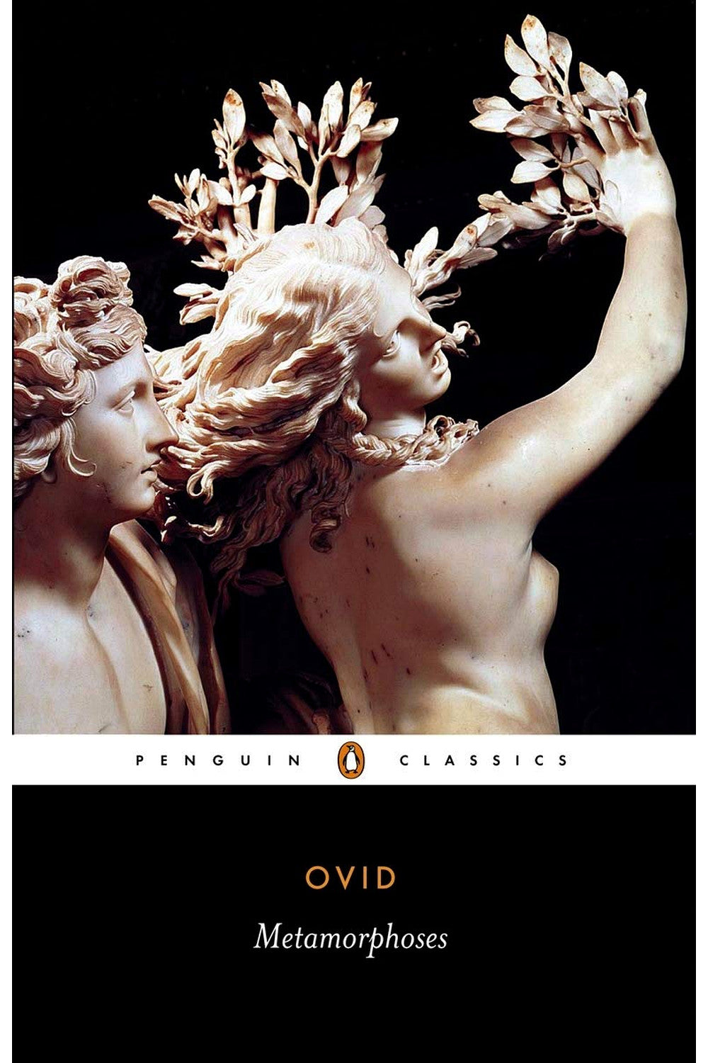 Metamorphoses by Ovid
