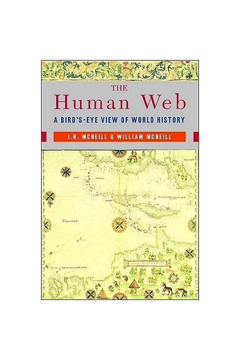 The Human Web: A Bird's-Eye View of World History by J.R. McNeill and William H. McNeill